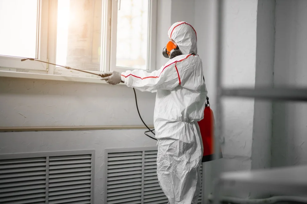Professional mold remediation services in American Fork, UT